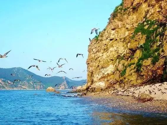 大连瓜皮岛旅游攻略_大连瓜皮岛好玩吗_大连瓜皮岛潮汐表