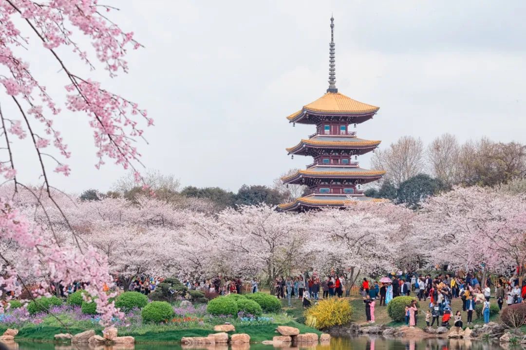 福州土楼旅游攻略_福州土楼一日游_福州土楼哪个更值得看