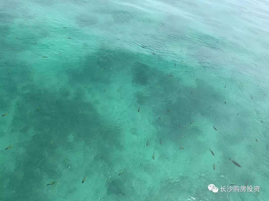 曼谷普吉岛旅游攻略-泰国普吉岛曼谷的生活(图47) 泰国曼谷普吉岛哪个好玩_曼谷普吉岛旅游攻略_泰国普吉岛曼谷的生活