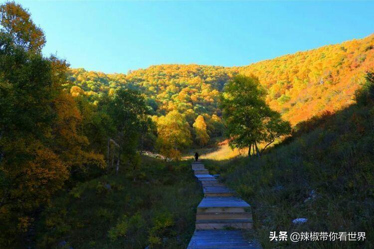 包头到锡林郭勒草原旅游攻略-包头距离锡林郭勒多远(图20) 从包头到锡林郭勒开车多长时间_包头到锡林郭勒草原旅游攻略_包头距离锡林郭勒多远