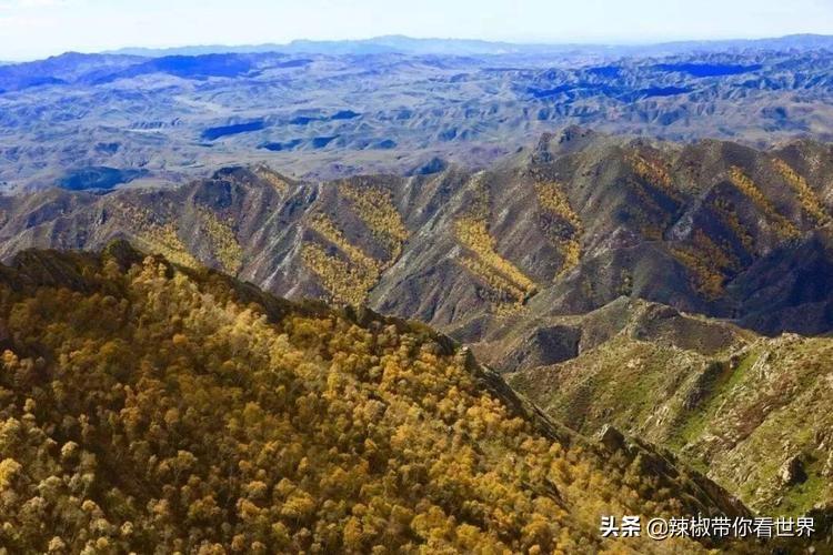 包头到锡林郭勒草原旅游攻略-包头距离锡林郭勒多远(图21) 包头距离锡林郭勒多远_包头到锡林郭勒草原旅游攻略_从包头到锡林郭勒开车多长时间