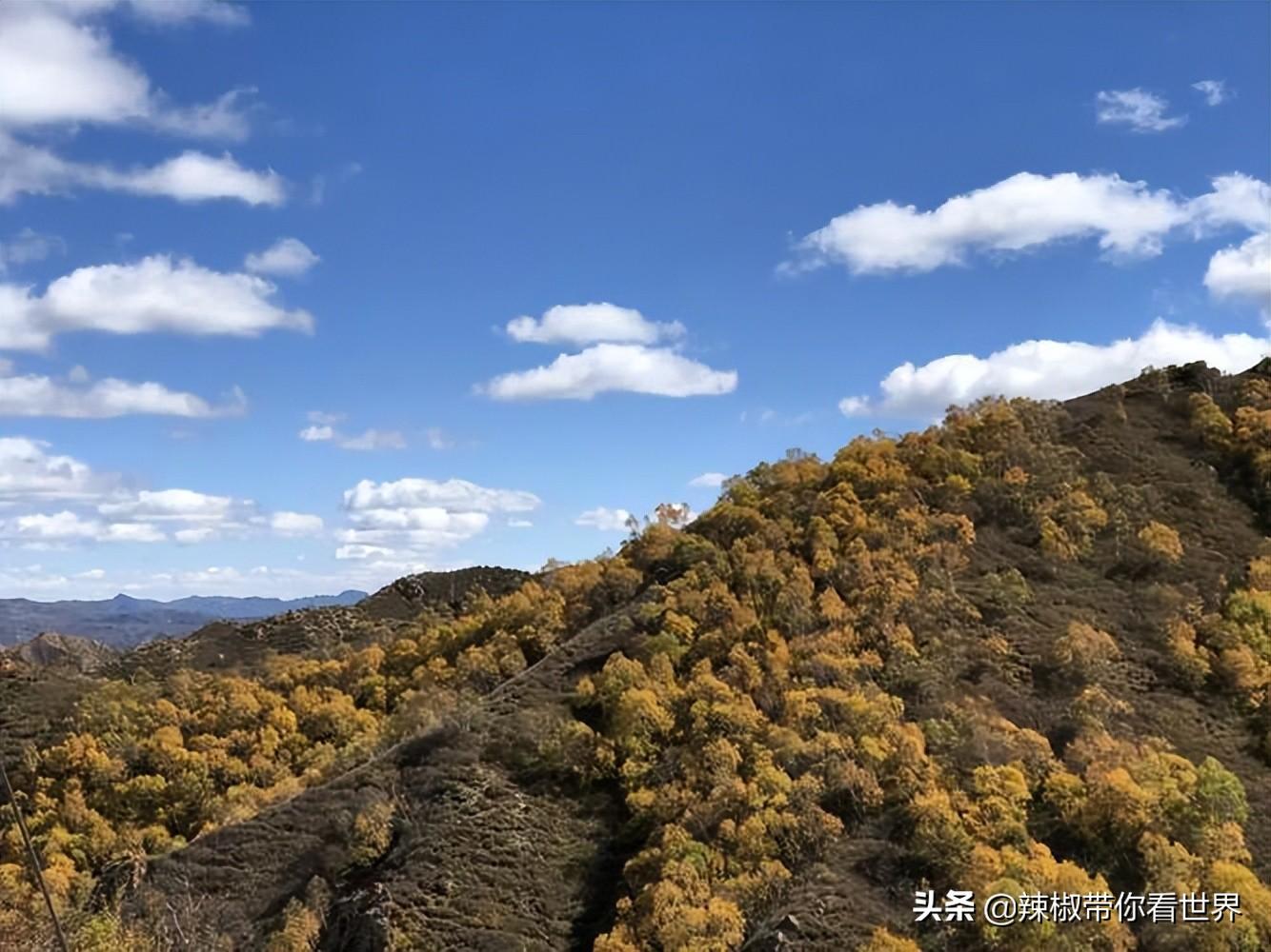包头到锡林郭勒草原旅游攻略-包头距离锡林郭勒多远(图22) 包头到锡林郭勒草原旅游攻略_包头距离锡林郭勒多远_从包头到锡林郭勒开车多长时间