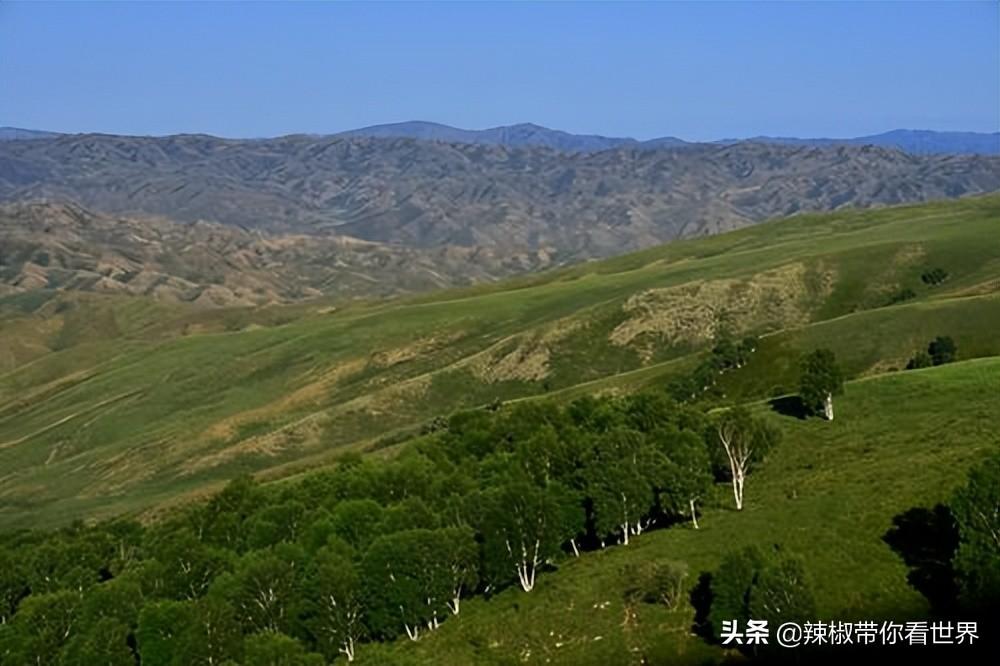 包头到锡林郭勒草原旅游攻略-包头距离锡林郭勒多远(图44) 包头到锡林郭勒草原旅游攻略_从包头到锡林郭勒开车多长时间_包头距离锡林郭勒多远