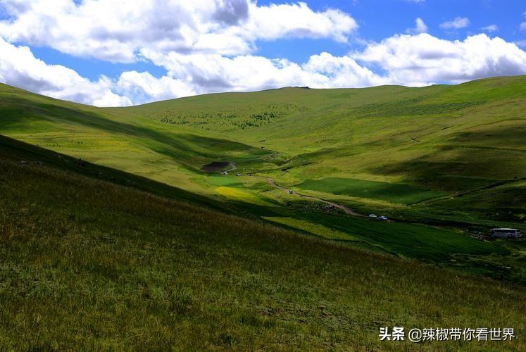 包头到锡林郭勒草原旅游攻略-包头距离锡林郭勒多远(图46) 包头距离锡林郭勒多远_从包头到锡林郭勒开车多长时间_包头到锡林郭勒草原旅游攻略