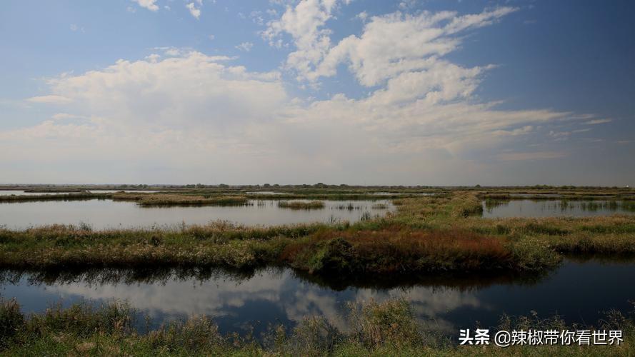 包头到锡林郭勒草原旅游攻略-包头距离锡林郭勒多远(图54) 包头到锡林郭勒草原旅游攻略_从包头到锡林郭勒开车多长时间_包头距离锡林郭勒多远