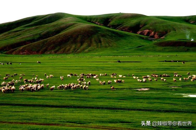 包头到锡林郭勒草原旅游攻略-包头距离锡林郭勒多远(图66) 从包头到锡林郭勒开车多长时间_包头到锡林郭勒草原旅游攻略_包头距离锡林郭勒多远
