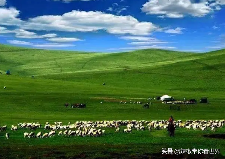 包头到锡林郭勒草原旅游攻略-包头距离锡林郭勒多远(图67) 从包头到锡林郭勒开车多长时间_包头距离锡林郭勒多远_包头到锡林郭勒草原旅游攻略
