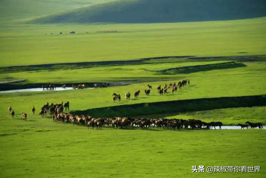 包头到锡林郭勒草原旅游攻略-包头距离锡林郭勒多远(图68) 包头到锡林郭勒草原旅游攻略_从包头到锡林郭勒开车多长时间_包头距离锡林郭勒多远