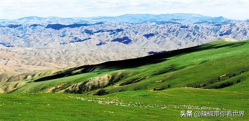 包头到锡林郭勒草原旅游攻略-包头距离锡林郭勒多远(图8) 包头到锡林郭勒草原旅游攻略_从包头到锡林郭勒开车多长时间_包头距离锡林郭勒多远