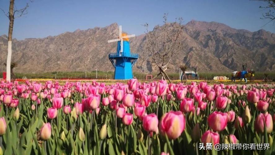 包头到锡林郭勒草原旅游攻略-包头距离锡林郭勒多远(图72) 包头距离锡林郭勒多远_从包头到锡林郭勒开车多长时间_包头到锡林郭勒草原旅游攻略