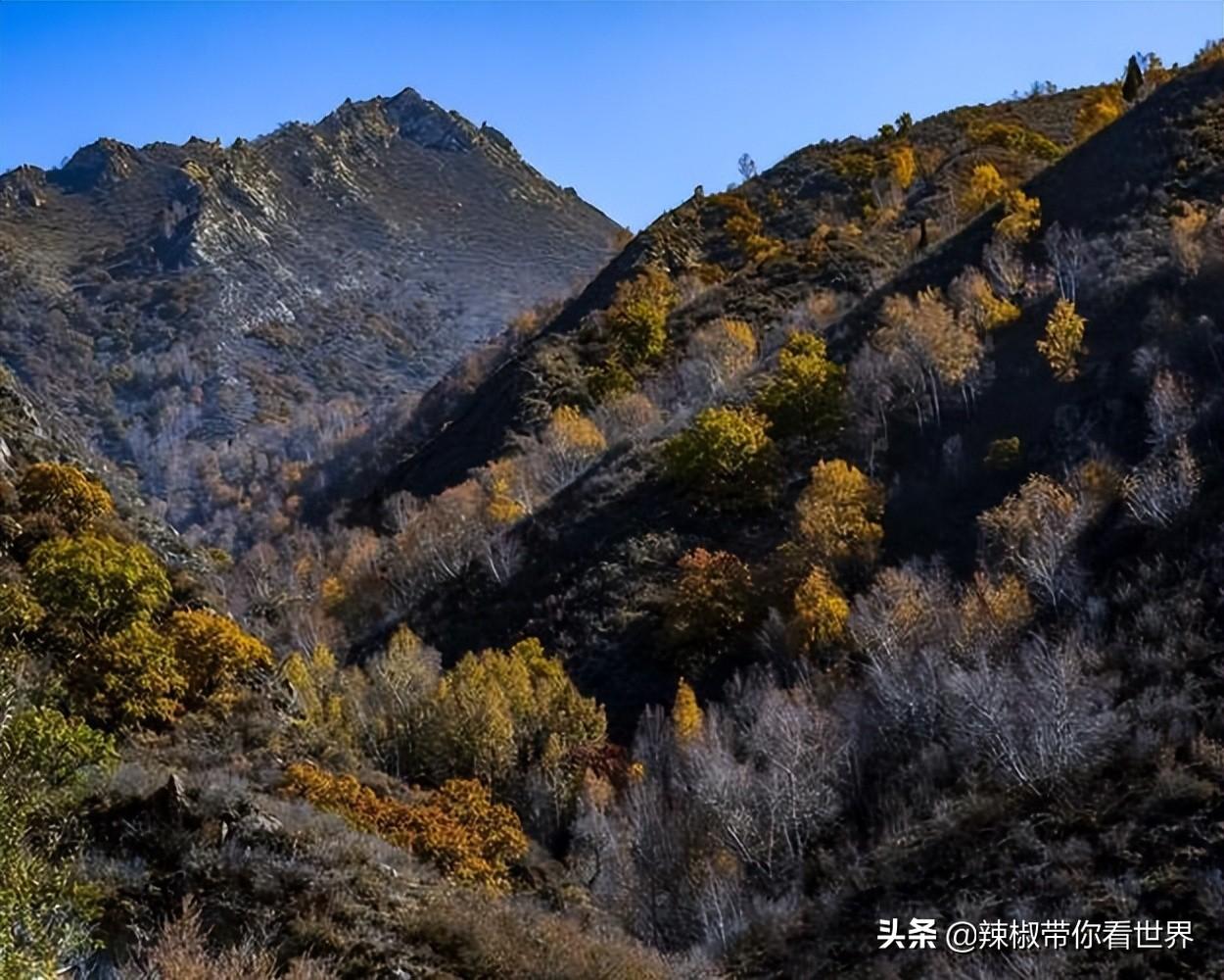 包头到锡林郭勒草原旅游攻略-包头距离锡林郭勒多远(图74) 包头距离锡林郭勒多远_从包头到锡林郭勒开车多长时间_包头到锡林郭勒草原旅游攻略