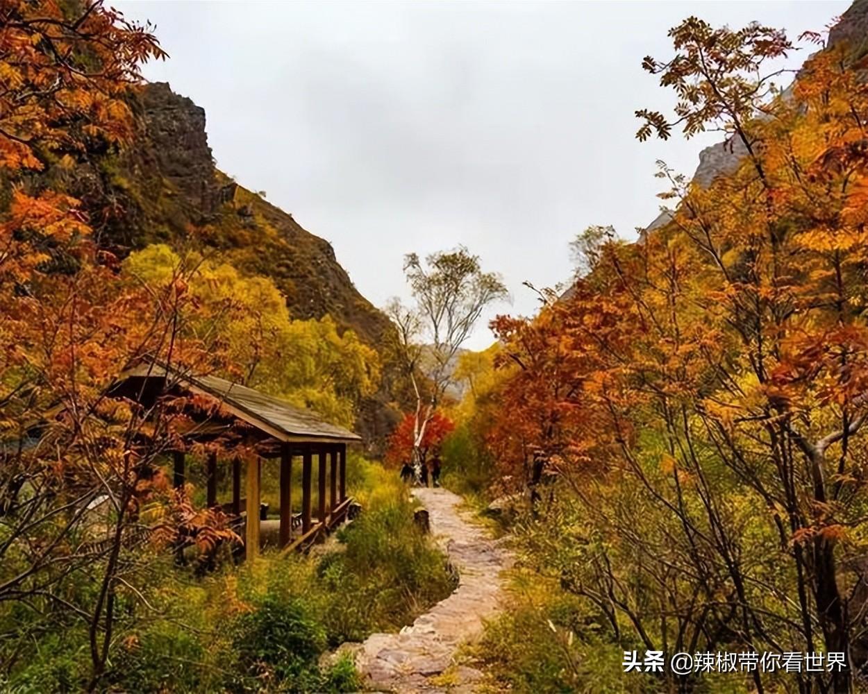 包头到锡林郭勒草原旅游攻略-包头距离锡林郭勒多远(图75) 包头距离锡林郭勒多远_包头到锡林郭勒草原旅游攻略_从包头到锡林郭勒开车多长时间
