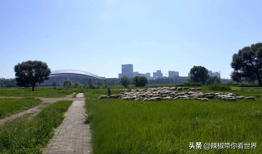 包头到锡林郭勒草原旅游攻略-包头距离锡林郭勒多远(图81) 从包头到锡林郭勒开车多长时间_包头距离锡林郭勒多远_包头到锡林郭勒草原旅游攻略