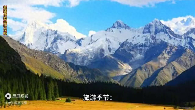 新疆伊犁旅游攻略_新疆伊犁旅游攻略必玩的景点_伊犁攻略新疆旅游线路