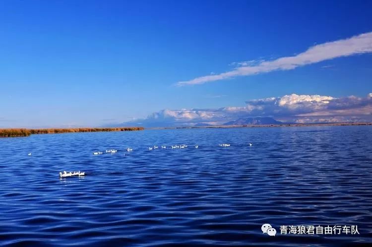 金银滩旅游攻略-金银滩实拍(图11) 金银滩景区_金银滩实拍_金银滩旅游攻略