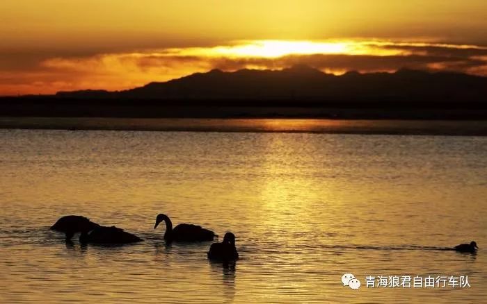 金银滩旅游攻略-金银滩实拍(图12) 金银滩景区_金银滩旅游攻略_金银滩实拍