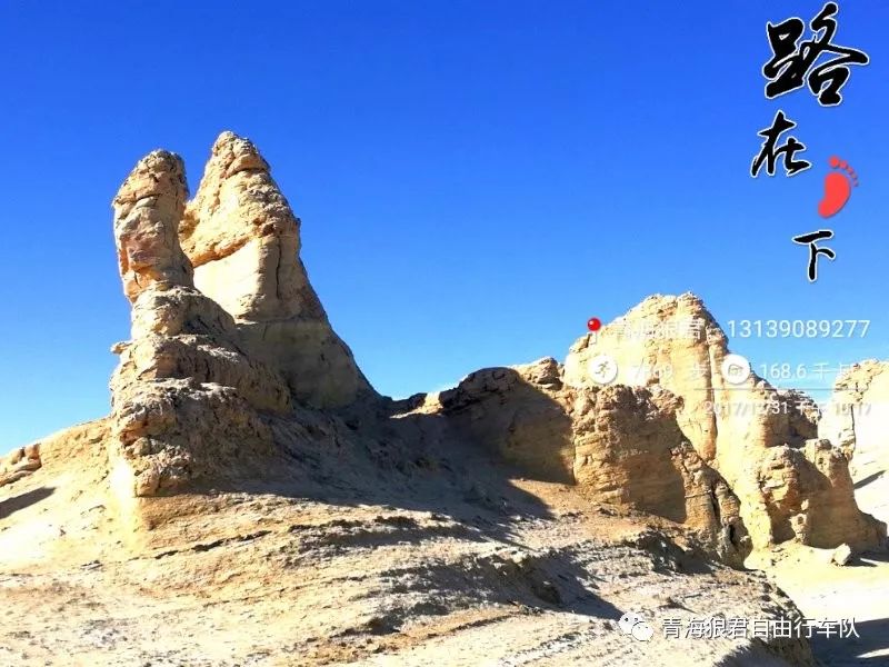 金银滩旅游攻略-金银滩实拍(图19) 金银滩实拍_金银滩景区_金银滩旅游攻略