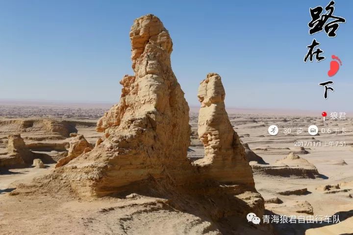 金银滩旅游攻略-金银滩实拍(图23) 金银滩旅游攻略_金银滩实拍_金银滩景区