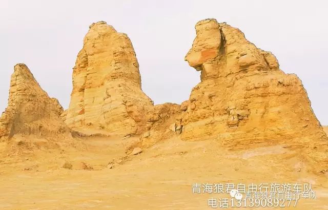 金银滩旅游攻略-金银滩实拍(图25) 金银滩旅游攻略_金银滩景区_金银滩实拍