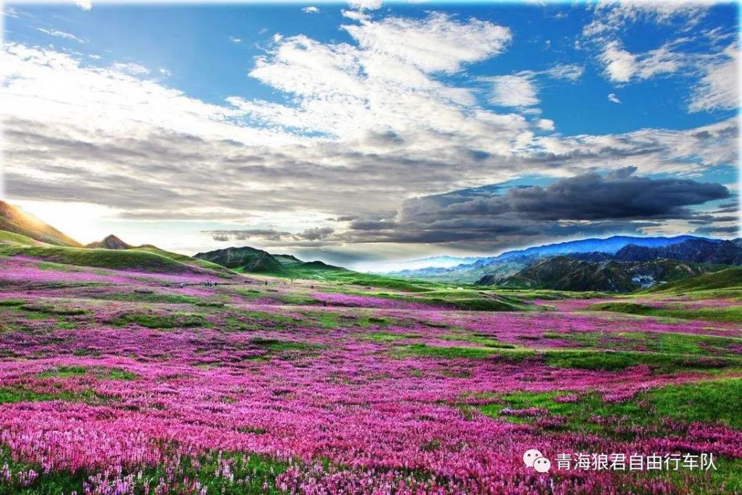 金银滩旅游攻略-金银滩实拍(图40) 金银滩旅游攻略_金银滩景区_金银滩实拍