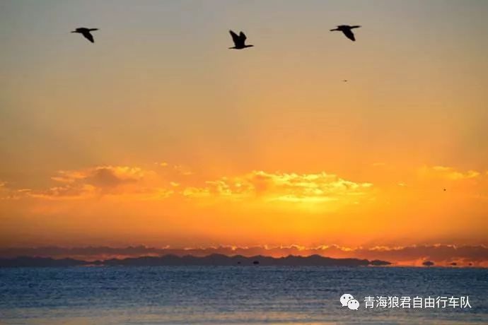 金银滩旅游攻略-金银滩实拍(图46) 金银滩实拍_金银滩景区_金银滩旅游攻略