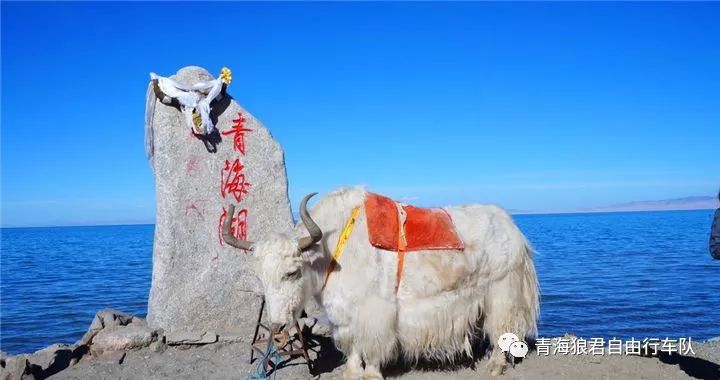 金银滩旅游攻略-金银滩实拍(图51) 金银滩旅游攻略_金银滩景区_金银滩实拍