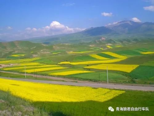 金银滩旅游攻略-金银滩实拍(图52) 金银滩景区_金银滩旅游攻略_金银滩实拍