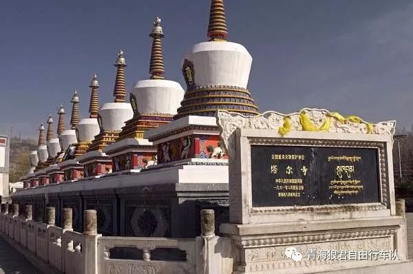 金银滩旅游攻略-金银滩实拍(图54) 金银滩景区_金银滩旅游攻略_金银滩实拍