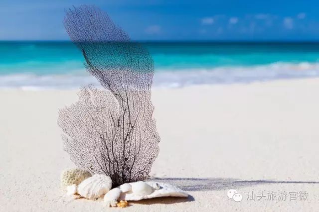 汕头南澳岛旅游攻略-汕头旅游景点南澳岛(图4) 汕头南澳岛旅游攻略_汕头南澳岛一日游最佳路线图_汕头旅游景点南澳岛