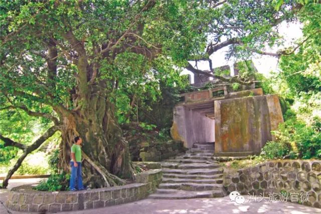 汕头南澳岛旅游攻略-汕头旅游景点南澳岛(图36) 汕头南澳岛一日游最佳路线图_汕头南澳岛旅游攻略_汕头旅游景点南澳岛