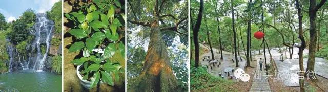 汕头南澳岛旅游攻略-汕头旅游景点南澳岛(图40) 汕头南澳岛旅游攻略_汕头旅游景点南澳岛_汕头南澳岛一日游最佳路线图