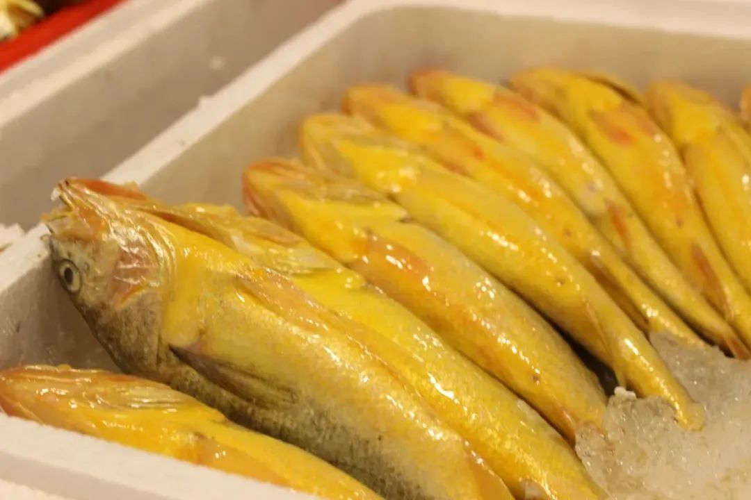象山石浦旅游攻略美食-象山石浦一日游(图30) 浙江象山石浦旅游指点_象山石浦一日游_象山石浦旅游攻略美食