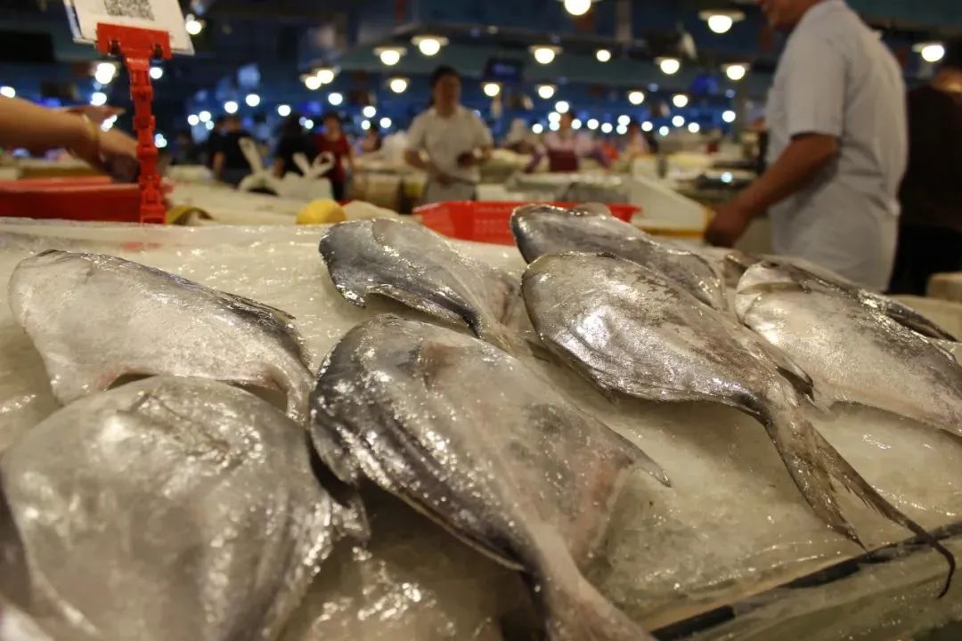 象山石浦旅游攻略美食-象山石浦一日游(图31) 浙江象山石浦旅游指点_象山石浦旅游攻略美食_象山石浦一日游