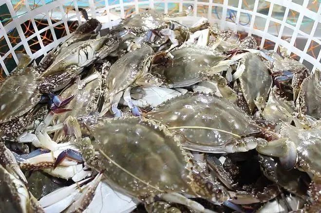 象山石浦旅游攻略美食-象山石浦一日游(图32) 象山石浦一日游_浙江象山石浦旅游指点_象山石浦旅游攻略美食