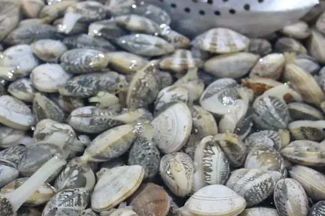 象山石浦旅游攻略美食-象山石浦一日游(图33) 象山石浦旅游攻略美食_象山石浦一日游_浙江象山石浦旅游指点