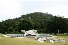 汕头南澳岛旅游攻略-汕头岛攻略南澳旅游景点(图6) 汕头南澳岛旅游攻略_汕头岛攻略南澳旅游景点_汕头旅游景点南澳岛
