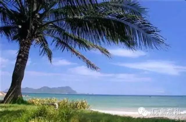 汕头南澳岛旅游攻略-汕头岛攻略南澳旅游景点(图9) 汕头旅游景点南澳岛_汕头岛攻略南澳旅游景点_汕头南澳岛旅游攻略