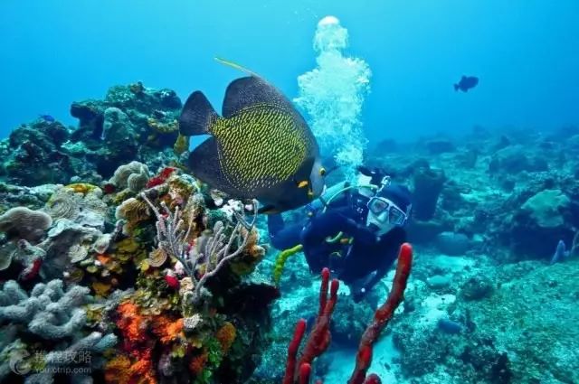 印尼苏拉威西自由行旅游攻略-印尼苏拉威西岛疫情最新消息(图16) 印尼苏拉威西岛最新疫情_印尼苏拉威西岛疫情最新消息_印尼苏拉威西自由行旅游攻略