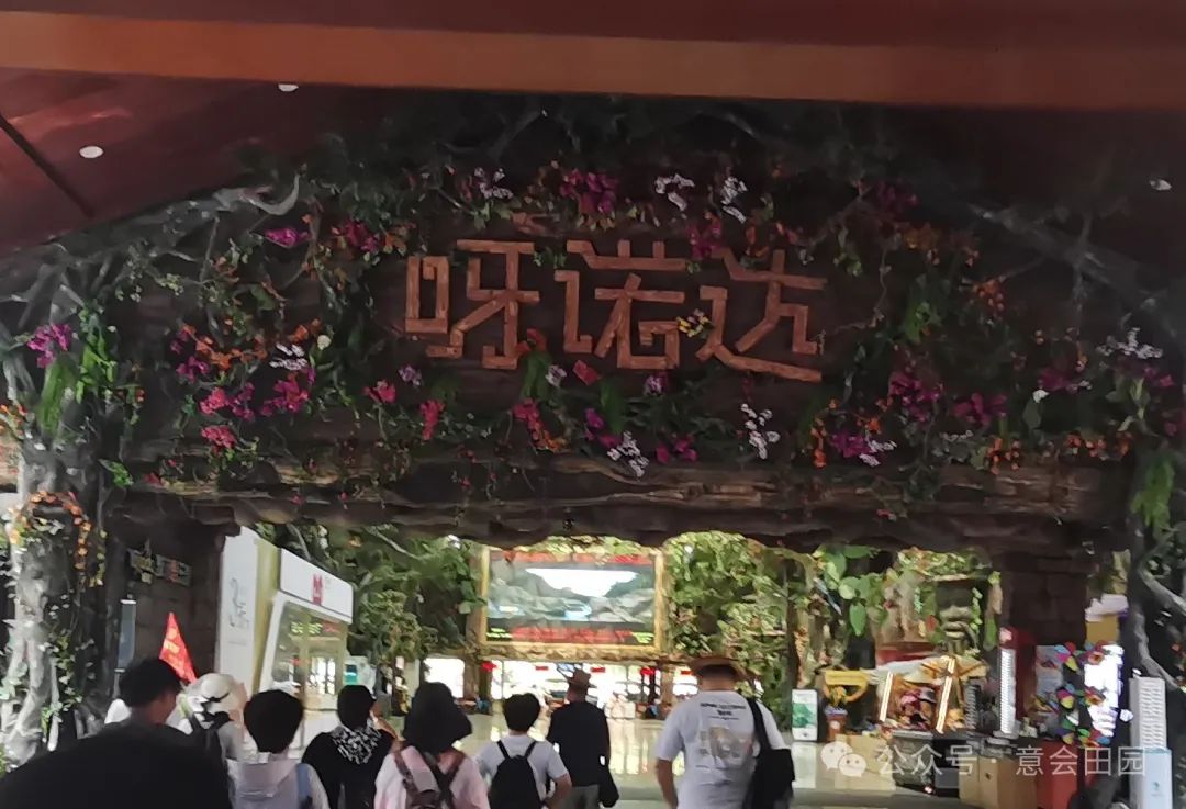 三亚呀诺达旅游攻略_三亚亚诺达景区_三亚呀诺达自由行攻略