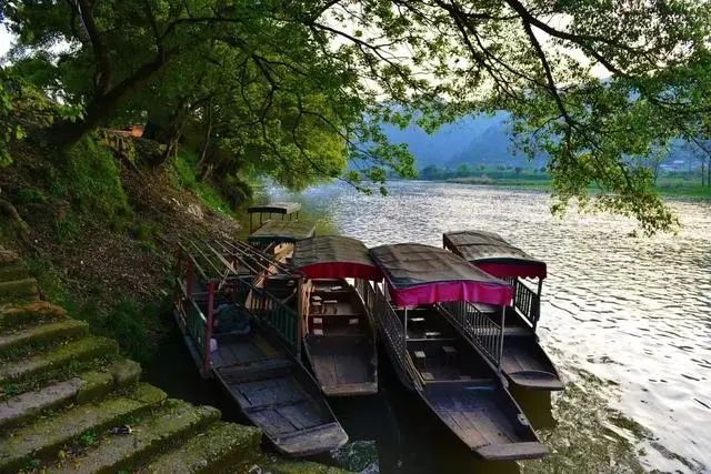 贵州妥乐村自由行攻略_贵州妥乐古银杏风景区图片_贵州妥乐村旅游攻略