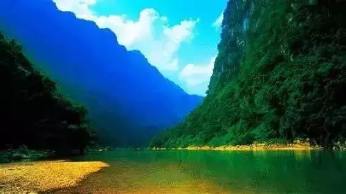 贵州妥乐古银杏风景区图片_贵州妥乐村旅游攻略_贵州的妥乐村