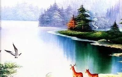 宁波到枸杞岛旅游攻略_宁波枸杞岛图片大全_宁波怎么枸杞岛