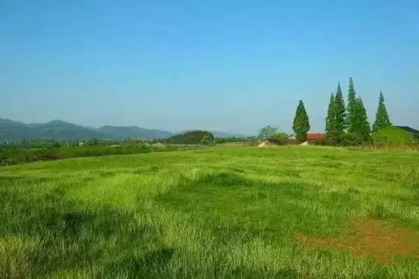 宁波枸杞岛图片大全_宁波怎么枸杞岛_宁波到枸杞岛旅游攻略