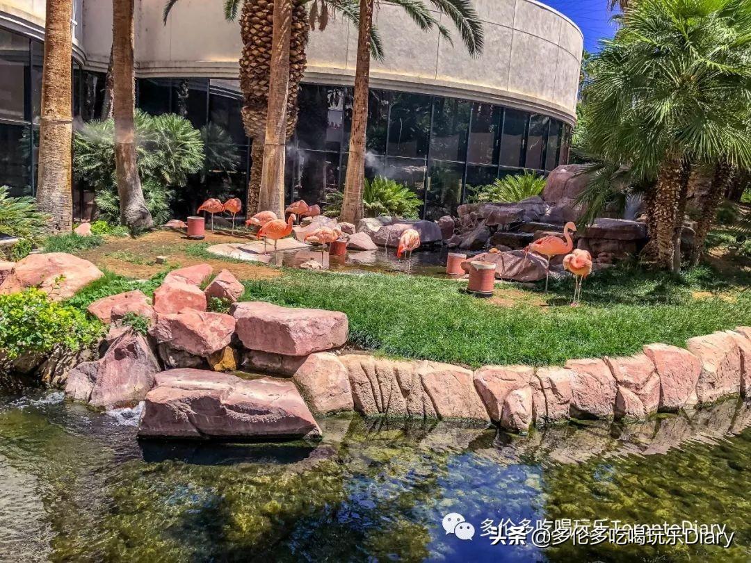 las vegas 旅游攻略-攻略旅游大峡谷恩施(图11) las vegas 旅游攻略_攻略旅游浙江杭州_攻略旅游大峡谷恩施