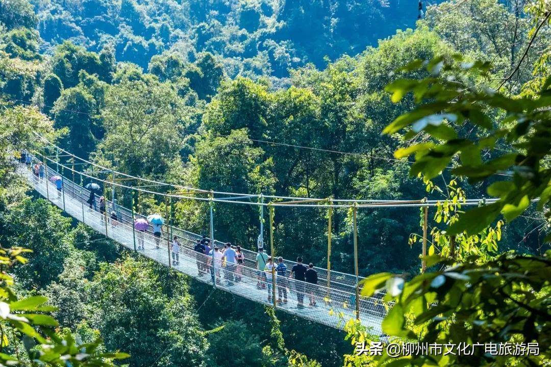 云贵旅游攻略-云贵旅游有哪些好景点(图44) 云贵旅游攻略_云贵旅游有哪些好景点_云贵旅游路线
