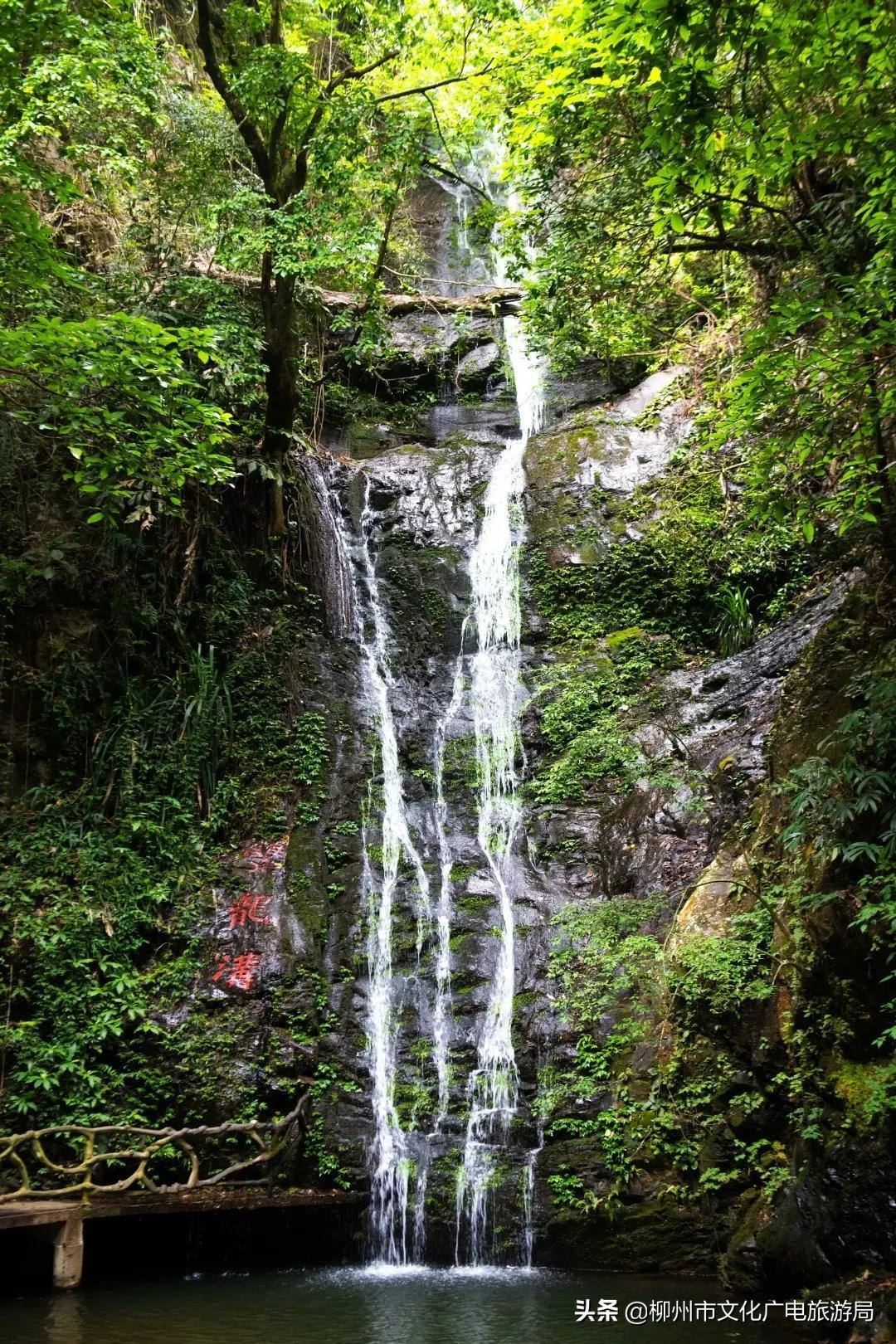 云贵旅游攻略-云贵旅游有哪些好景点(图48) 云贵旅游路线_云贵旅游攻略_云贵旅游有哪些好景点