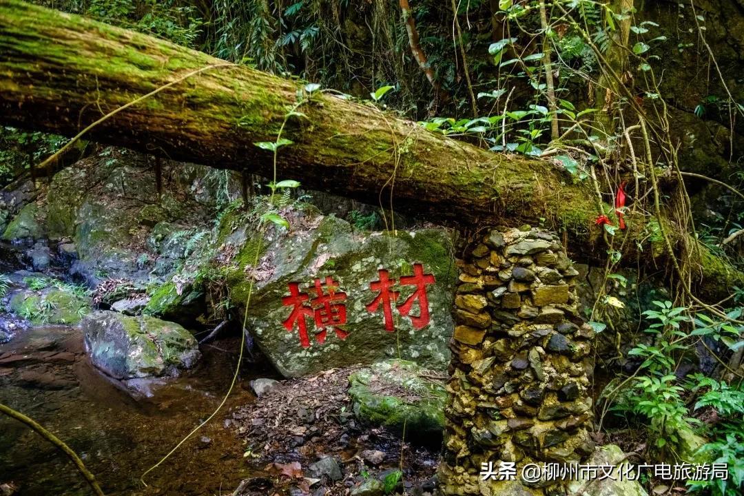 云贵旅游攻略-云贵旅游有哪些好景点(图49) 云贵旅游有哪些好景点_云贵旅游路线_云贵旅游攻略