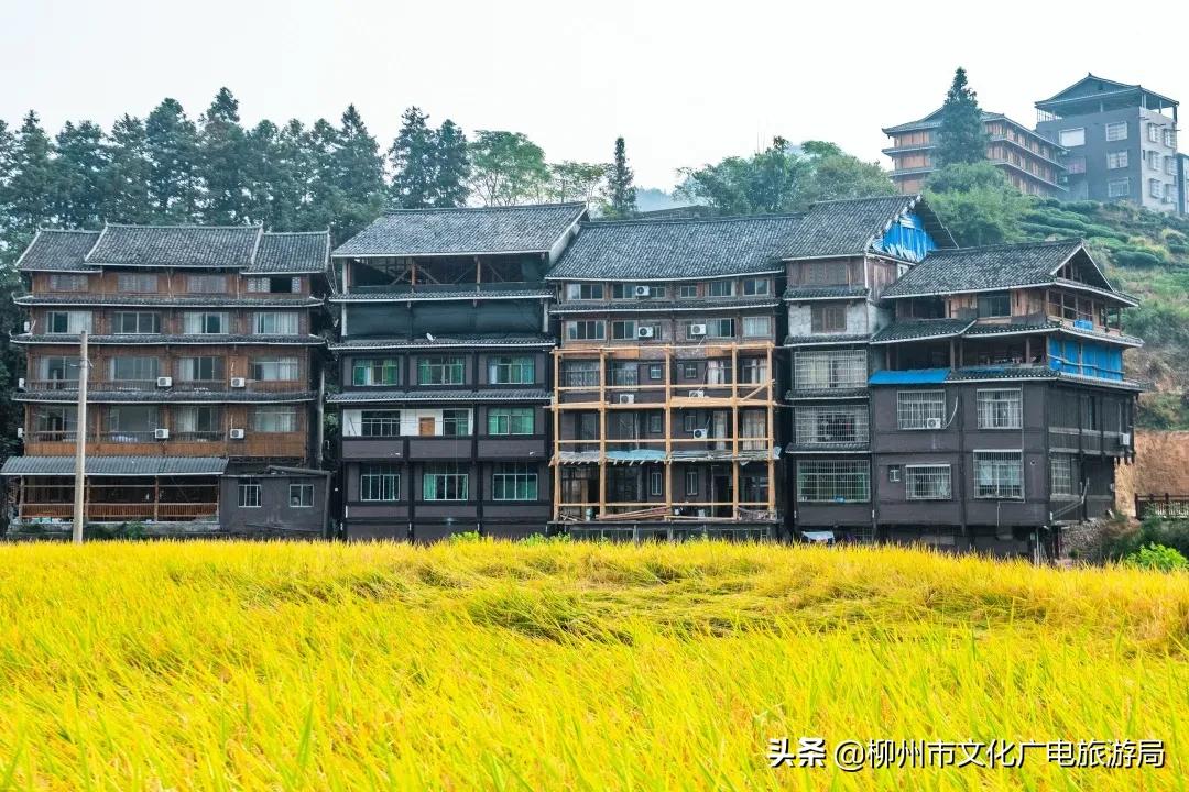 云贵旅游攻略-云贵旅游有哪些好景点(图57) 云贵旅游攻略_云贵旅游有哪些好景点_云贵旅游路线