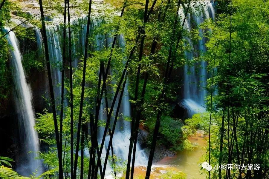 重庆天坑地缝旅游攻略-重庆天坑地缝景点视频(图11) 重庆天坑景区介绍_重庆天坑地缝景点视频_重庆天坑地缝旅游攻略