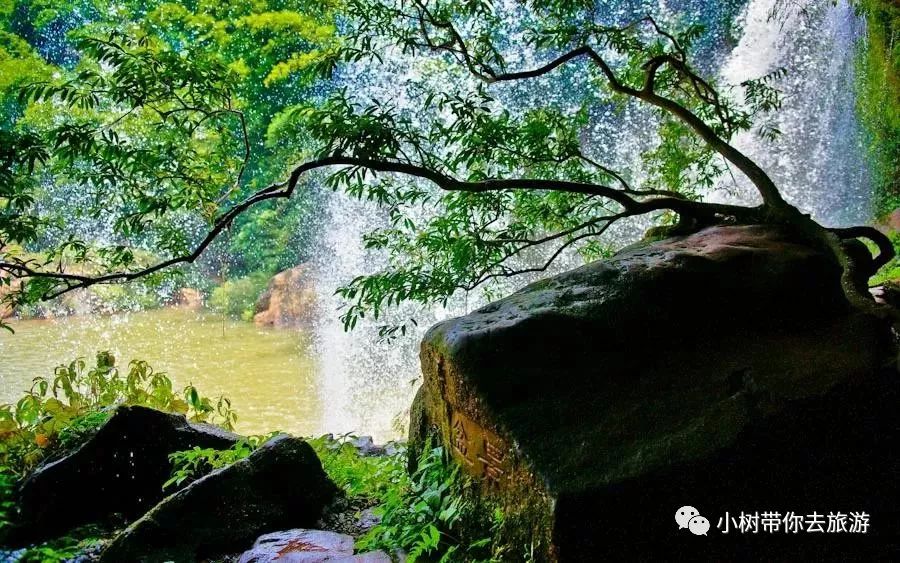 重庆天坑地缝旅游攻略-重庆天坑地缝景点视频(图12) 重庆天坑地缝旅游攻略_重庆天坑地缝景点视频_重庆天坑景区介绍